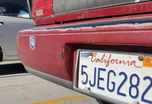 Tamaulipas canaliza más de 50 millones de pesos a municipios gracias a la regularización vehicular