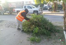 Efectúa Gobierno actividades de limpieza y mantenimiento en Reynosa