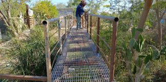 Instala Gobierno de Reynosa nuevo puente peatonal en Nuevo Amanecer