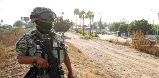 Ejecutan fuerzas federales operativo en El Salado, Sinaloa; reportan un detenido