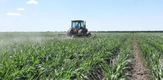 Exigen apoyo para agricultura comercial