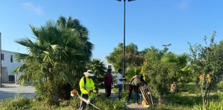 Incrementó Carlos Peña Ortiz el mantenimiento y rehabilitación de plazas públicas en Reynosa