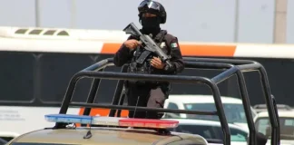 Invierten 500 mdp en corporaciones de seguridad