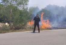 Fuego controlado: sofocan incendio en la Estatal 75