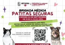 Acercará Gobierno de Carlos Peña Ortiz esterilizaciones gratuitas a Loma Real