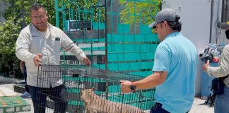 Trabaja Control y Bienestar Animal de Reynosa por la calidad de vida de cada ser vivo
