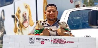 Promueve Gobierno de Carlos Peña Ortiz la identificación responsable de mascotas en Villa Esmeralda
