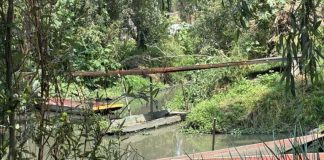 Crisis hídrica ahoga chinampas de Xochimilco