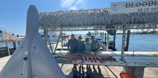 Dron militar impacta barco pesquero